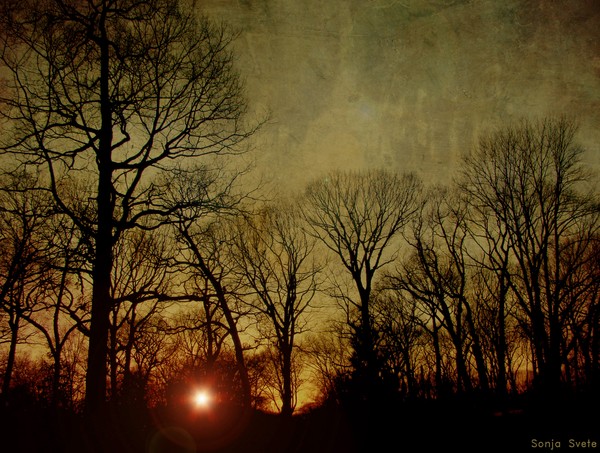 Last Rays