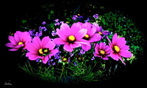  Memory of Summer !