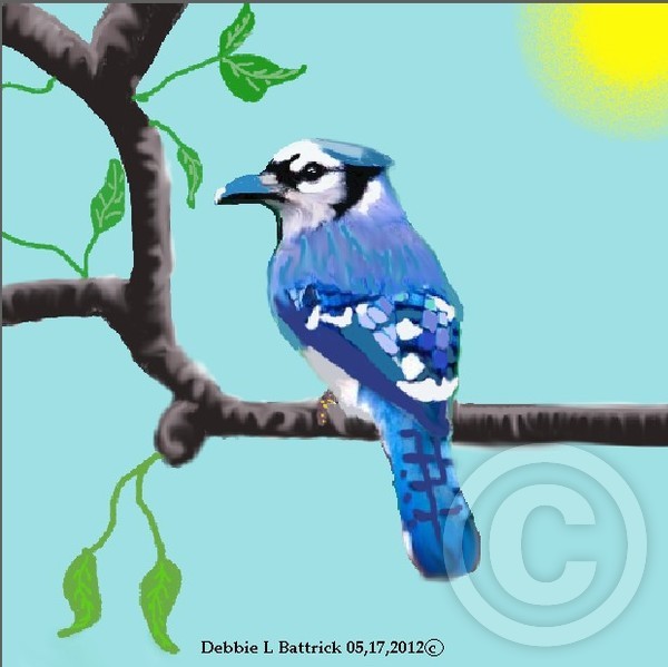 BLUE JAY