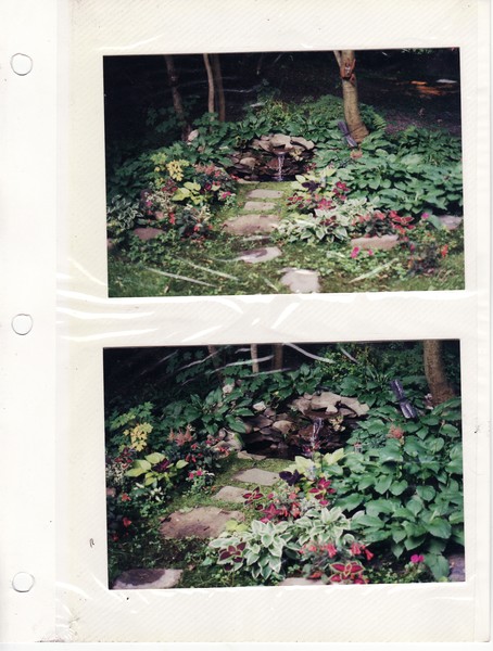 pond 2