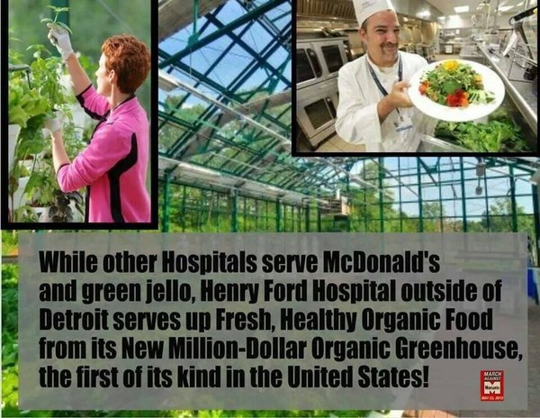 AT LAST-HOPE FOR THE PLANET -ORGANIC HOSPITAL