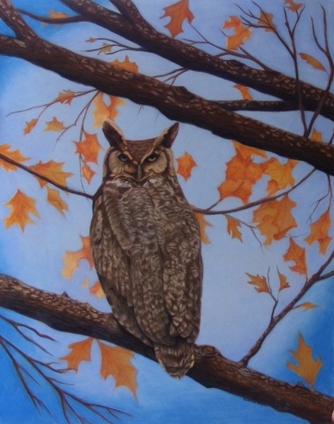 Great Horned Owl
