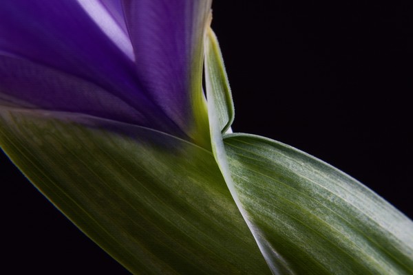Unfolding