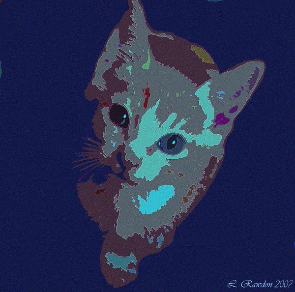 Wonderland Kitty
