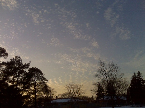 Chilly Winter