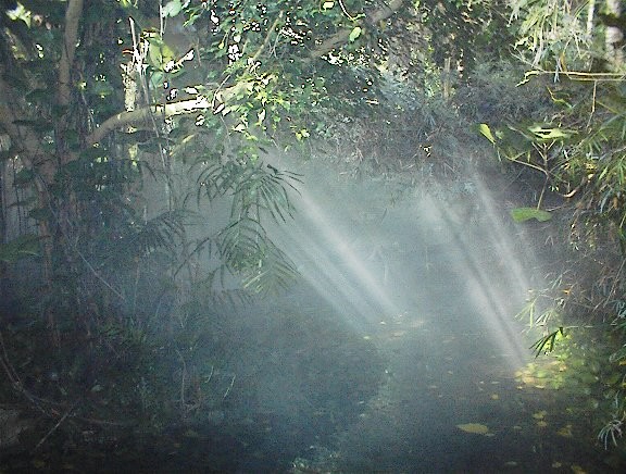 rays of hope