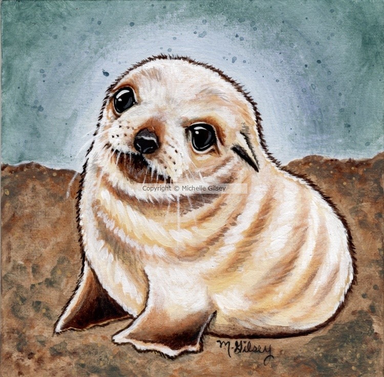 Gilsey Michelle Baby Beach Fur Seal LOW Res jpeg