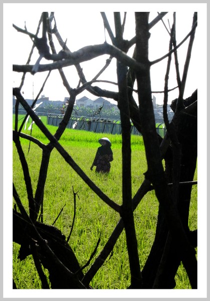 Farmer