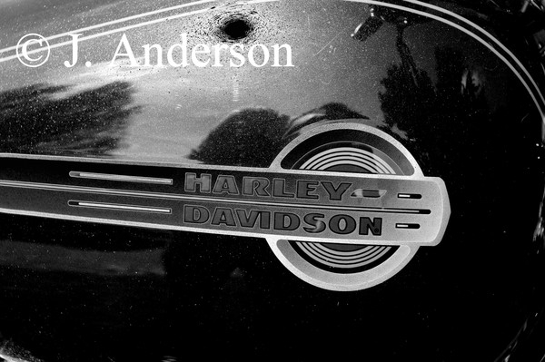 Harley 3