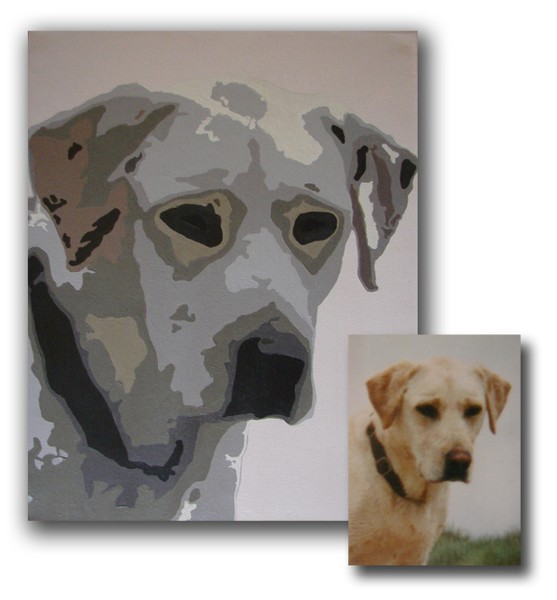 Pet Portrait