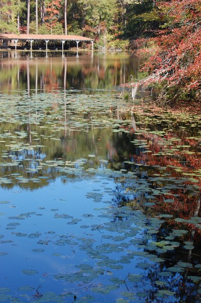 silent lake