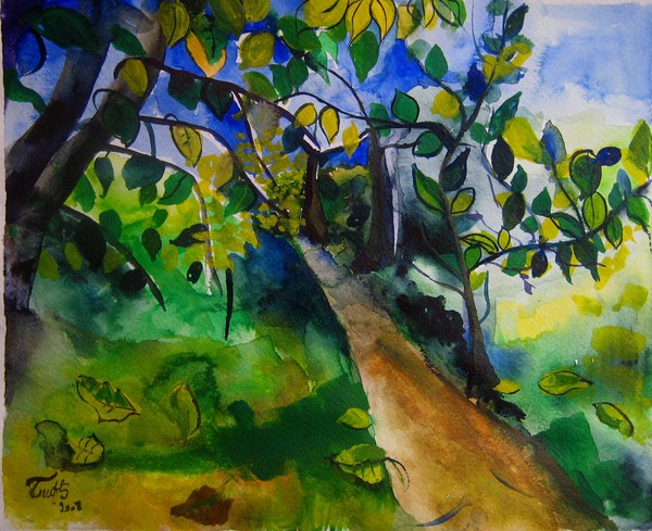 nature-colors