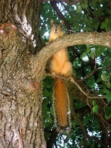 Just Hanging Around