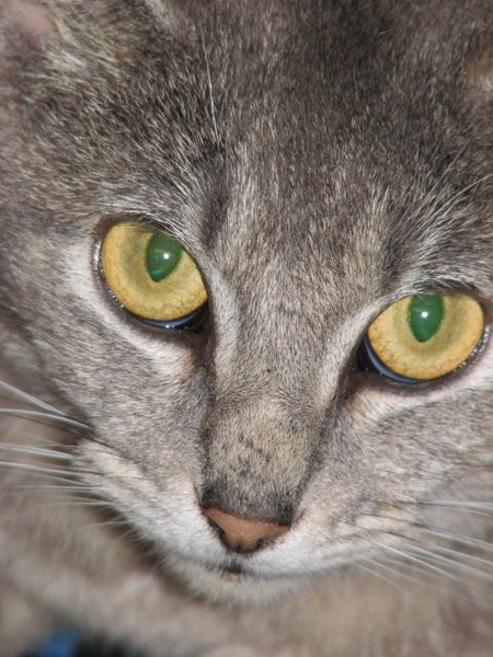 Look into My Eyes