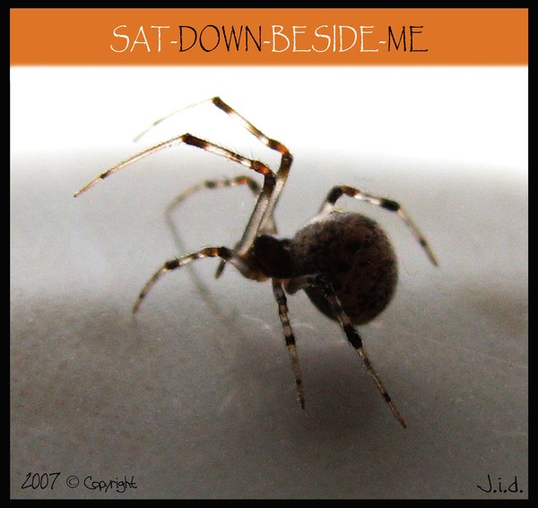Sat Down Beside Me