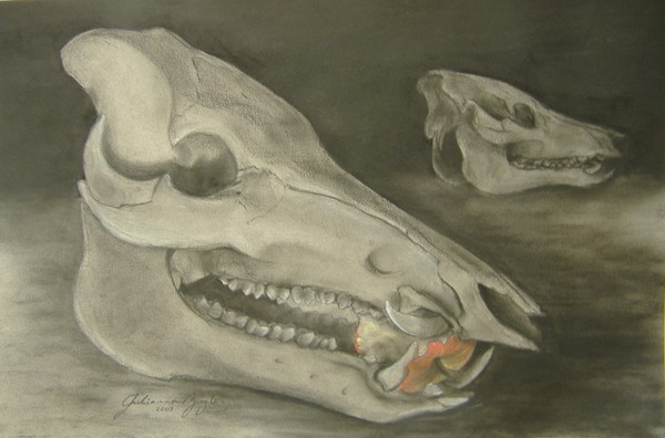 Bone Appetit
