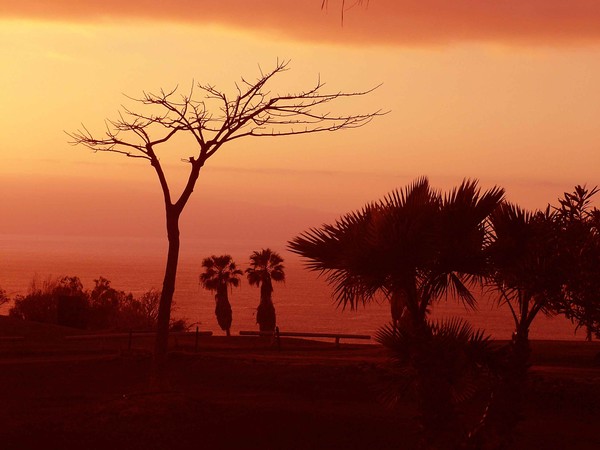 Sunset Adeje Tenerife