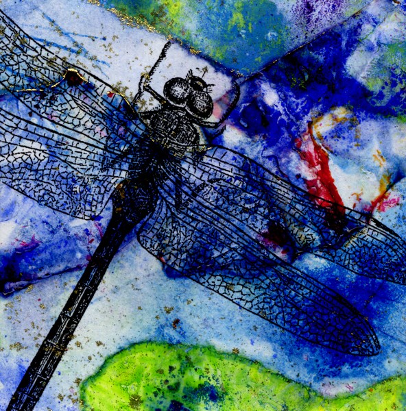 Dragonfly #30