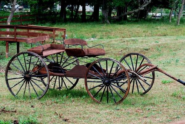 Old Buggy