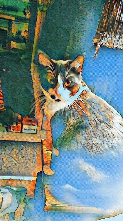 photo art 20180105 222657