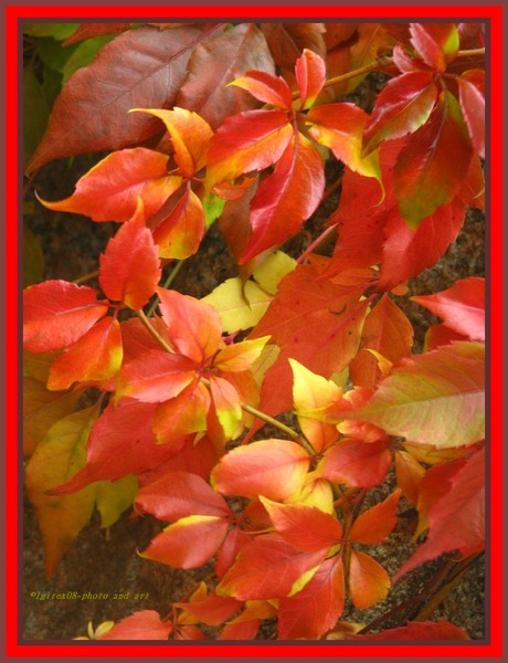 Autumglory2008-