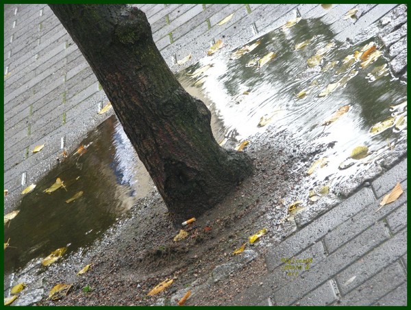 Septemberbliss2008-