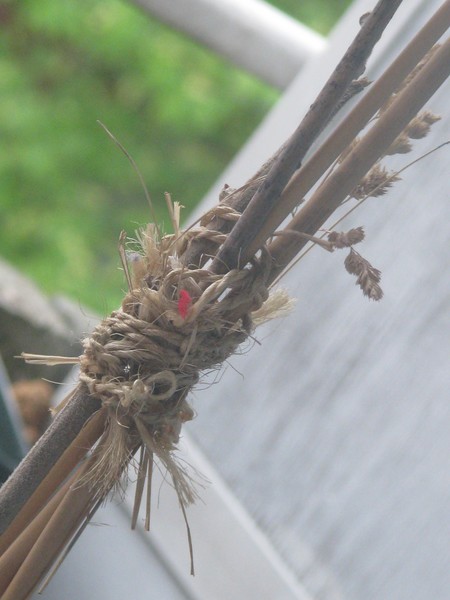 ..TIED TOGETHER..