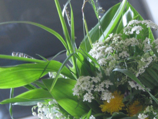 EARLY..SUMMER JOYS..