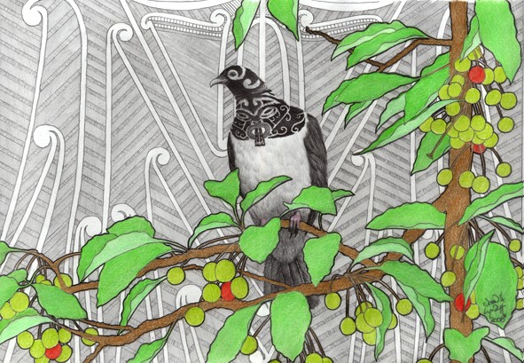 Moari Pidgeon