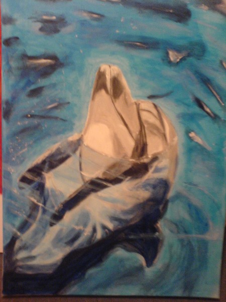 Dolfin