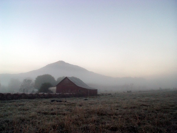 Smoky Mountain fog
