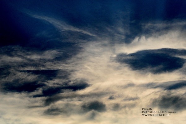 Plane in the sky