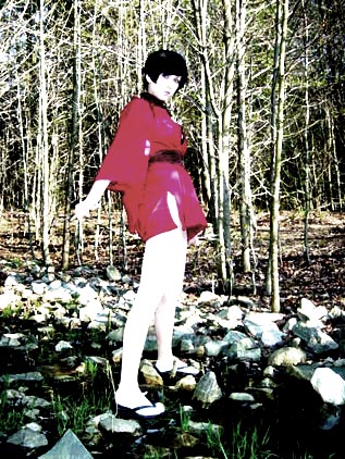 The Red Ninja