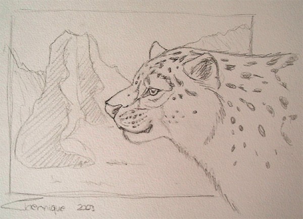 Snow Leopard sketch