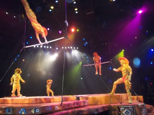 Fantastic Acrobats and Lion King show