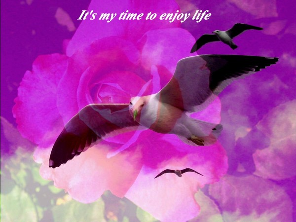It's my Time
