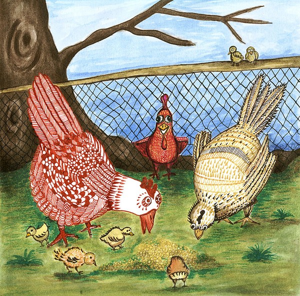 gallinas_en_proceso
