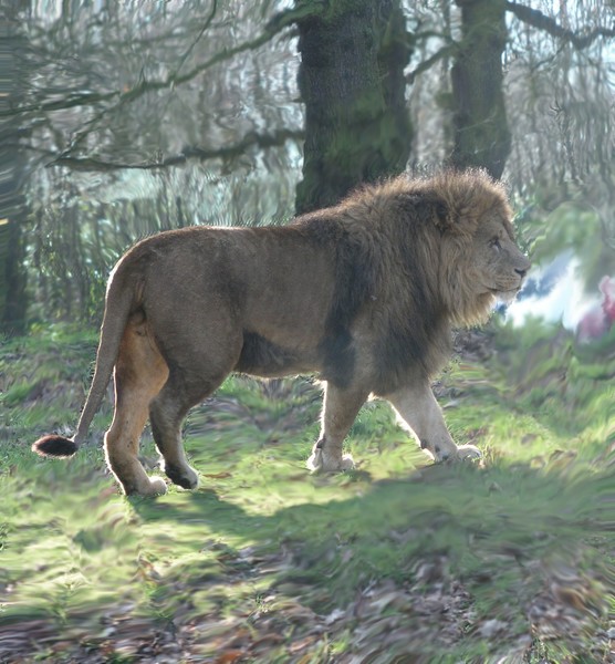 Power
