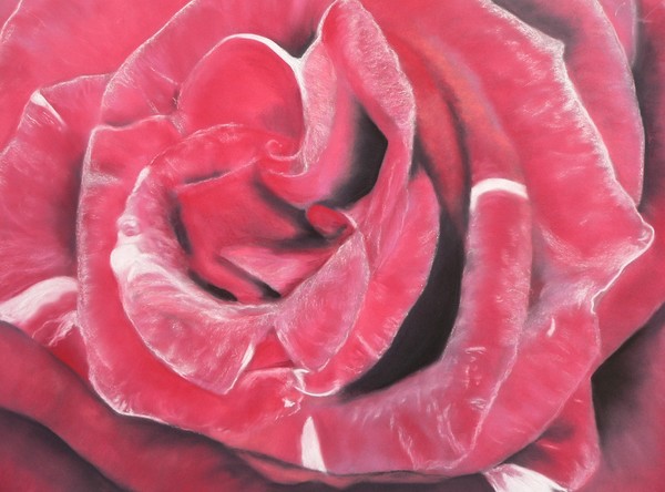 Red red rose