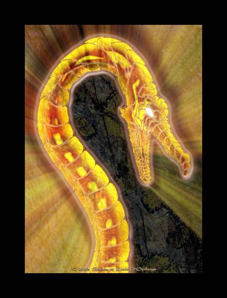 Tryptich of the Dragon's rune Ardhran : part 3