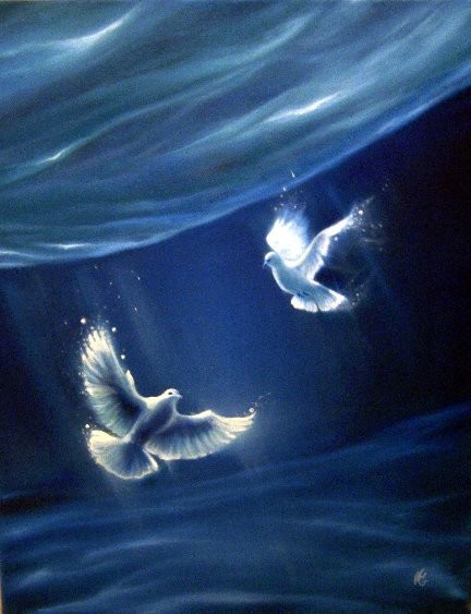 White Doves