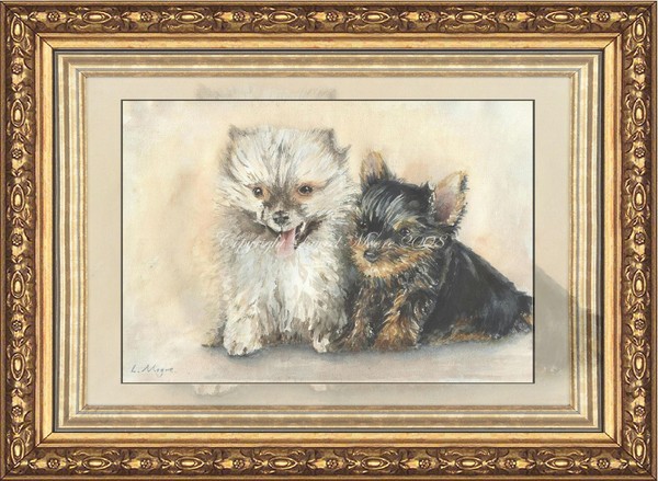 'Just Two Cute' Pomeranian and Yorkshire Terrier 
