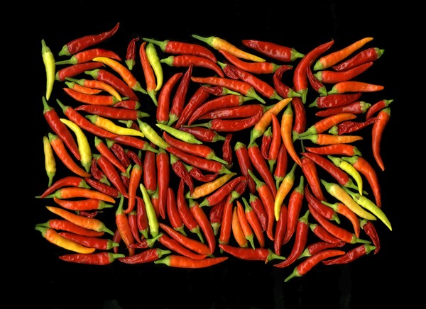 Chilli Peppers