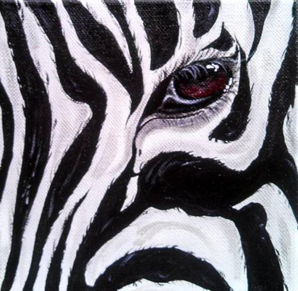 Eye Of The Zebra