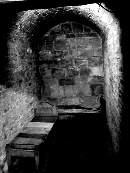 The cell 