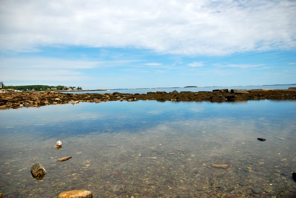 Rachel Carson Salt Pond Pond Preserve in Maine