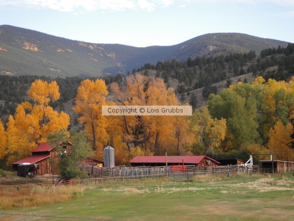 2011 Fall Scenery