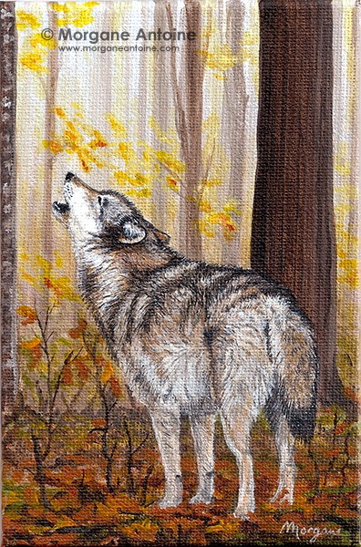 Calling the Pack
