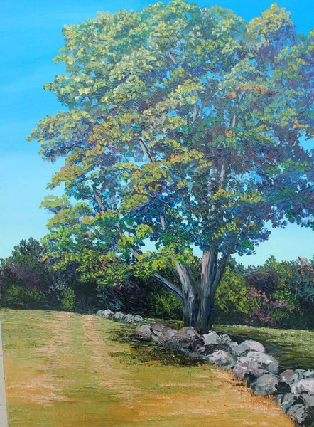 Tree on Bunker Hill