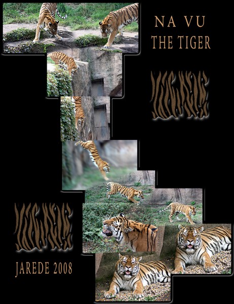 Na Vu The Tiger